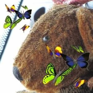 Meet your Posher, Robin